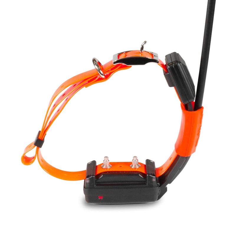 Collar "SHORT" Adicional X25-T