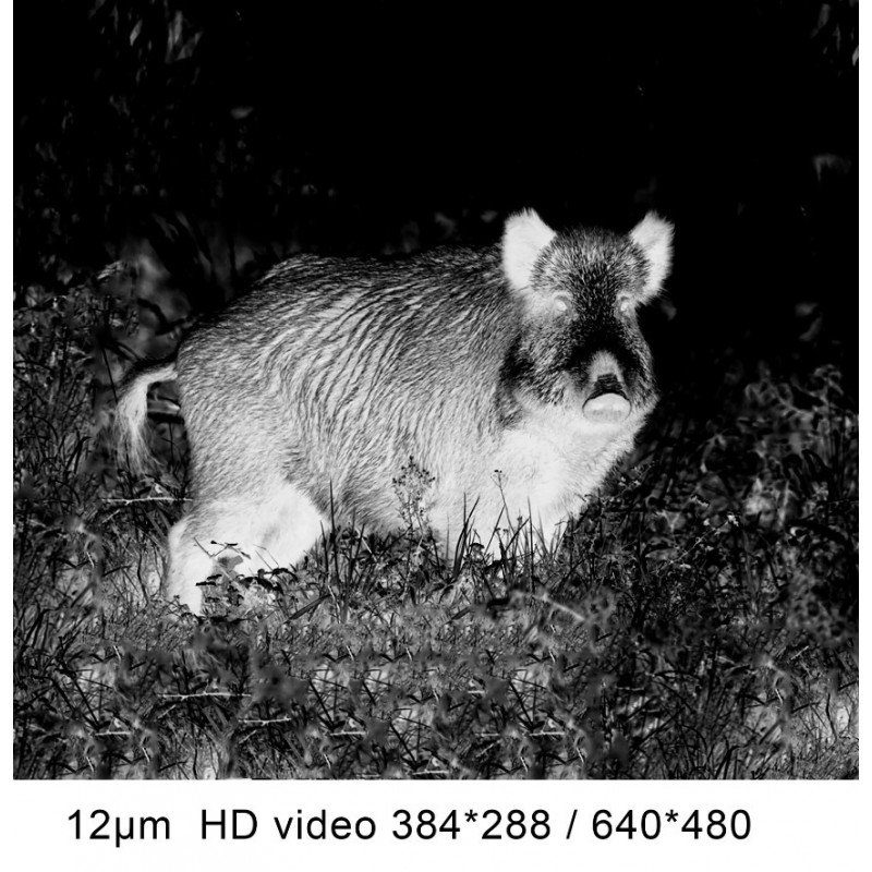 monocular-termico-pard-ta32-con-o-sin-telemetro-lrf (10)